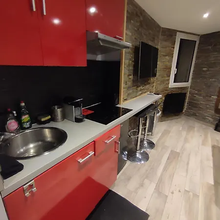 Les 2 Alpes Au Village 1800m-commerces Et Telesiege A 50m-retour Au Pied Διαμέρισμα *