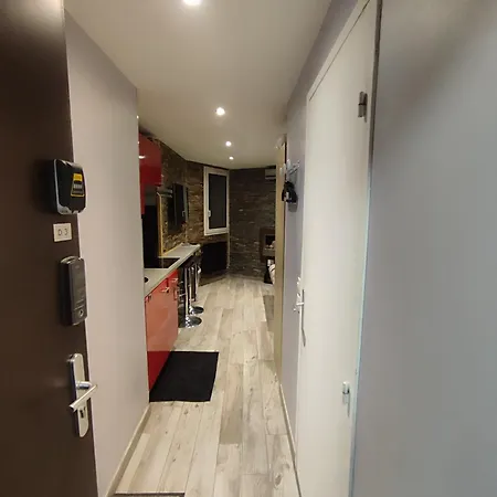 Les 2 Alpes Au Village 1800m-commerces Et Telesiege A 50m-retour Au Pied Διαμέρισμα Λε Ντεζ Αλπ