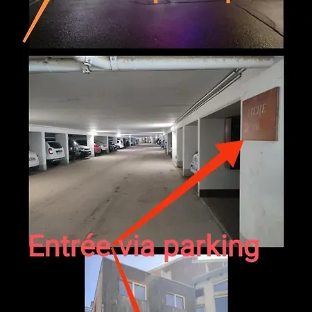 Les 2 Alpes Au Village 1800m-commerces Et Telesiege A 50m-retour Au Pied Διαμέρισμα Λε Ντεζ Αλπ