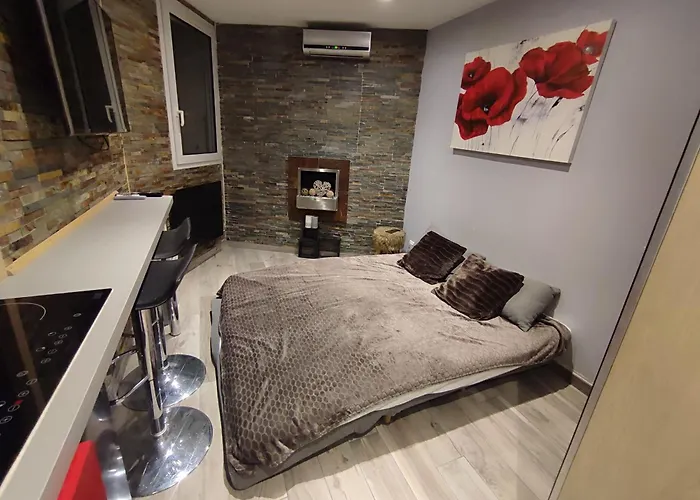 Les 2 Alpes Au Village 1800m-commerces Et Telesiege A 50m-retour Au Pied Les Deux Alpes